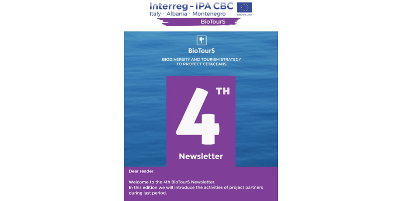4th Newsletter