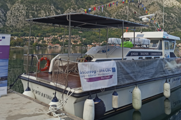 The Cetacean Youth Camp "Researcher for a day" - Kotor Montenegro